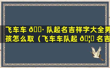 飞车车 🌷 队起名吉祥字大全男孩怎么取（飞车车队起 🦈 名吉祥字大全男孩怎么取好听）